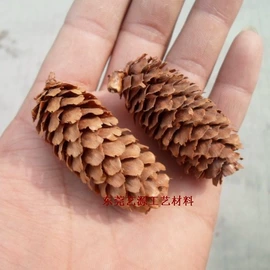 工艺原料;植物工艺品;鲜花花艺制品