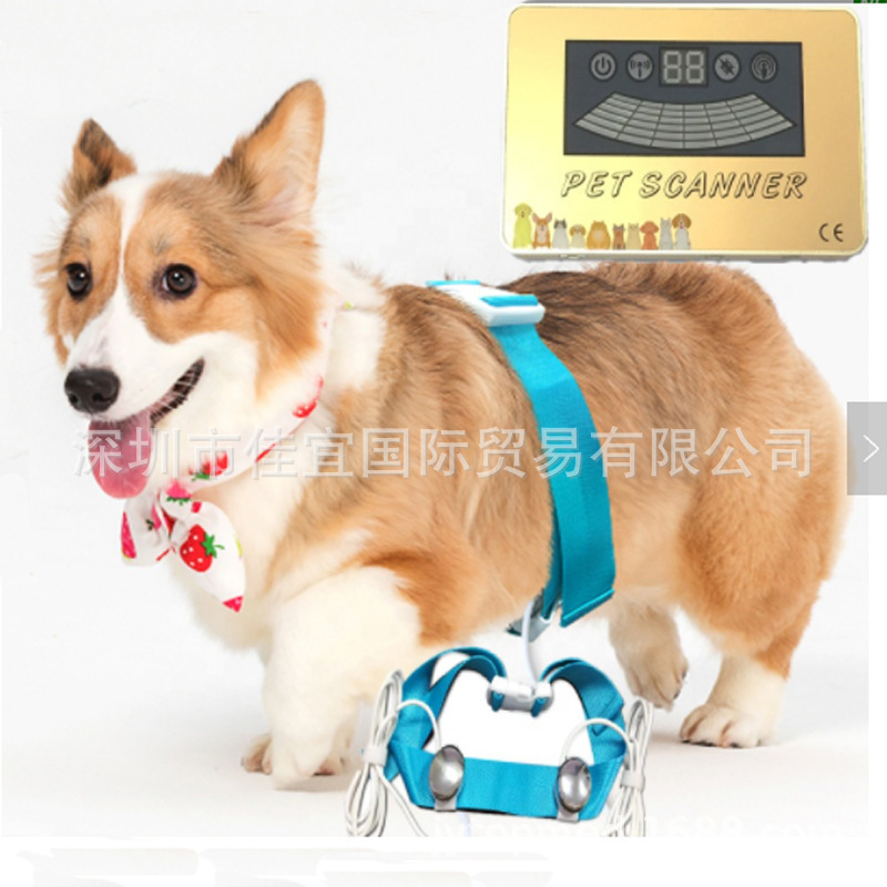 Jytop pet scannerquantum analyzer for dog cat|undefined