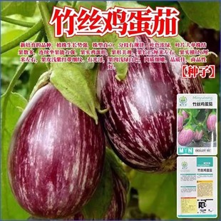 ��z�u���ѷN�Ӳ�ɫ���шA���ӷN��ԭ�b�ļ��߲˷N�Ӵ�ȫ���l���l