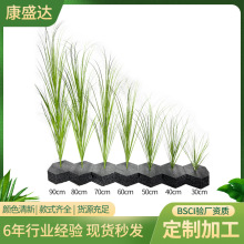 仿真洋葱小草大型客厅室内植物墙造景盆栽单支塑料绿植装饰芦苇草