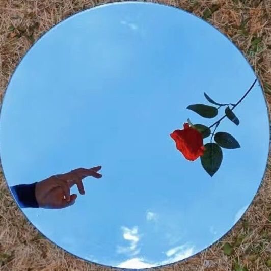 직경 20cm(고화질 이미징, 방폭형)