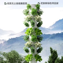 现代设施农业垂直水培塔智能蔬菜种植机无土栽培种菜立柱气雾培管