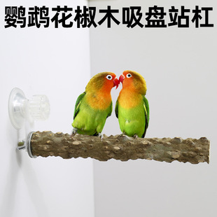 �W�^����ľ���Pվ����վ��վ��ĥצ���P��Ƥ�����B�à��沣��վ̨