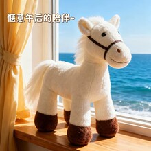 �����RС���Rվ�˴��Rë�q���2026����Ф�YƷ��Ѫ���R��ͯ����Y