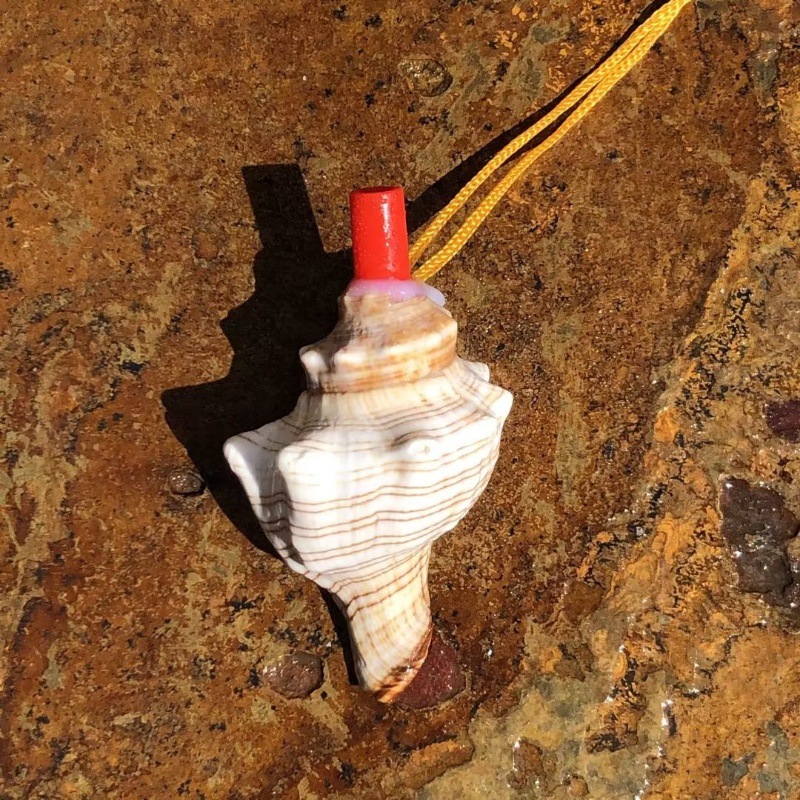 Big red rotor snail whistle 6-8 cm