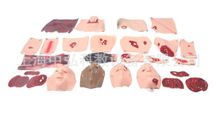 43 Parts Trauma Evaluation Module 43 Parts Trauma Evaluation Model First Aid Package Trauma Evaluation Module