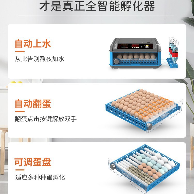 Venta directa de fábrica rutina incubadora pequeña máquina de huevo incubadora pequeña casa automática