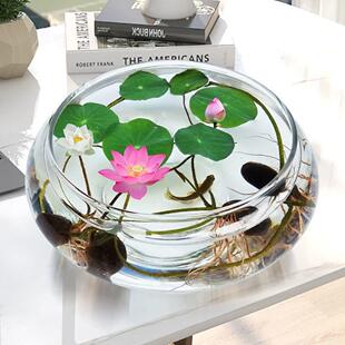 ļɏ_ڟoˮֲɻ^ֲﻨNļˮ˯ɏ