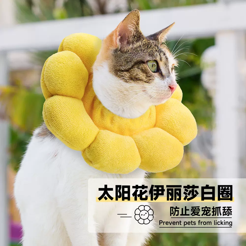 伊丽莎白圈太阳花充棉防舔甜甜圈猫项圈宠物耻辱圈防咬猫猫圈批发