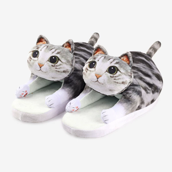 Gray cat