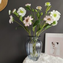 z܆֦3^{軨݆ձWinsҾӘӰgbcշ滨