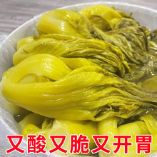 广西钦州灵山特产酸菜农家新鲜腌制酸爽脆嫩下饭菜酸菜鱼酸菜