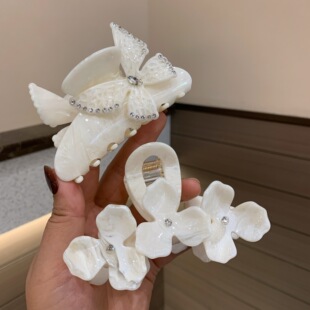 �߼��ɰ�ɫ�����̖����ץ�A�p������Y�lץ��̖���~�A����l�Ů