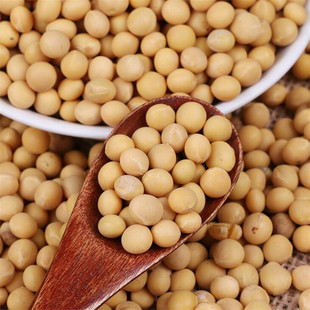 ������؛���l�����S���r���ԷN���������{������s�Zԭ��һ�����l