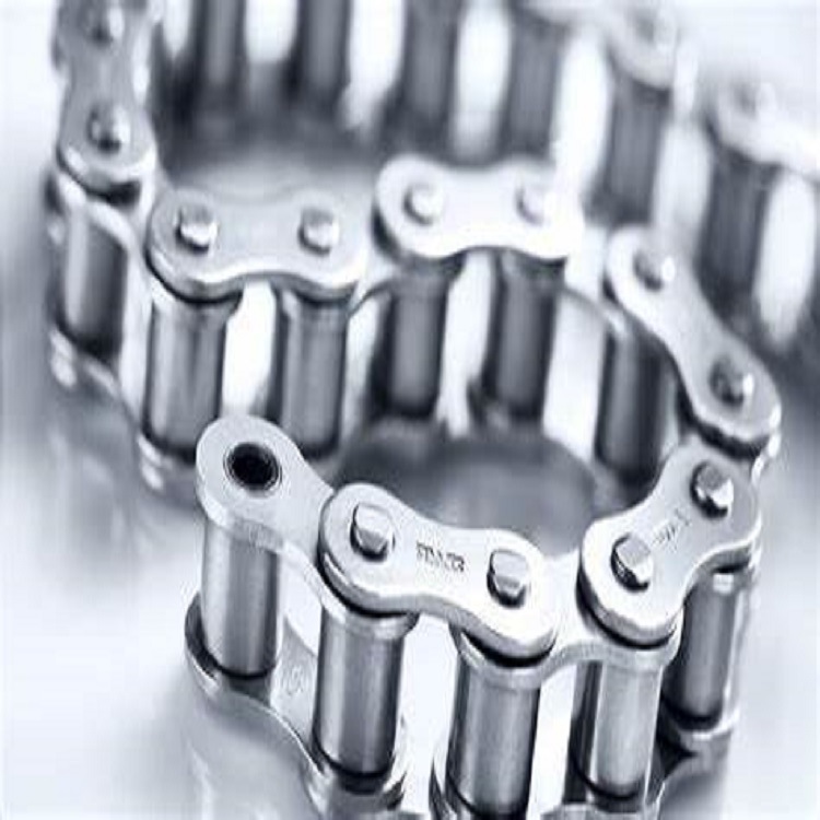 德国iwis 传动链条 216B