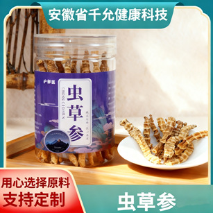 虫草参地蚕子地参新货干货批发源头产地山货一件代发云南