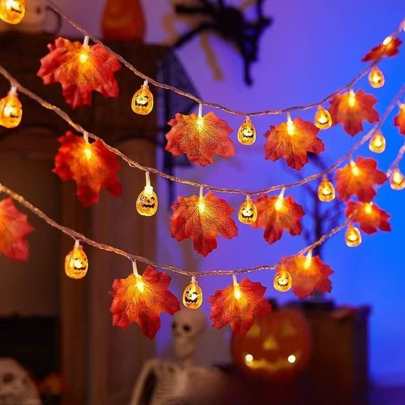 微信图片_20241112200613