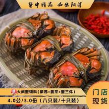 阳淳牌大闸蟹4.0公/3.0母礼盒装四对八只/五对十只装全国发货