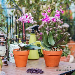 �����m��֧���m�A��֧�ΗUֲ�����ٻ��̶ܹ������F�z֧�܈@ˇ����