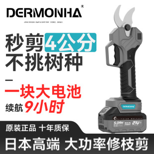 R늄Ӽ֦늄늳شʴ_ڳʽ֦