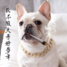̩�ϰ͸編�������������Ͻ������С��Ȯ�Ȧ�������Ʒ���