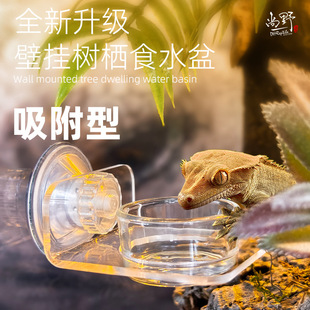 DH�޽��،mR�ّҒ�ʽ���ƄӴ��Fˮ��䗫����ʳ��ʳ�����P��ʳ��