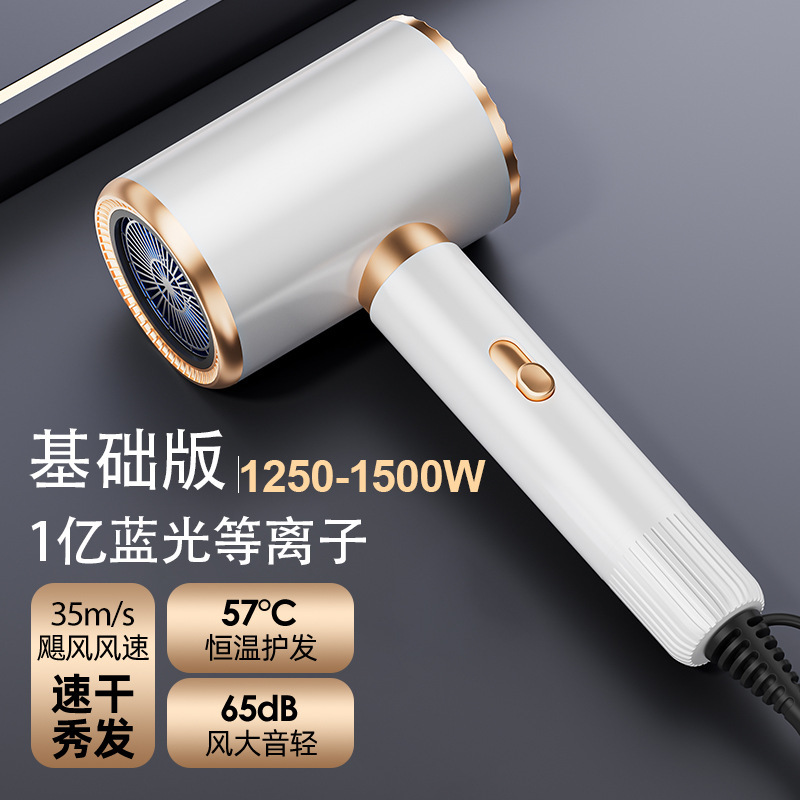 跨境爆款T形吹风机110V/220V/230V发廊专业吹风筒TEMU代发大功率|undefined