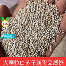 ���K����ș����Ʒ ș�� ���K���� ���K�� �ݲ�ɰ��K�ӷ�