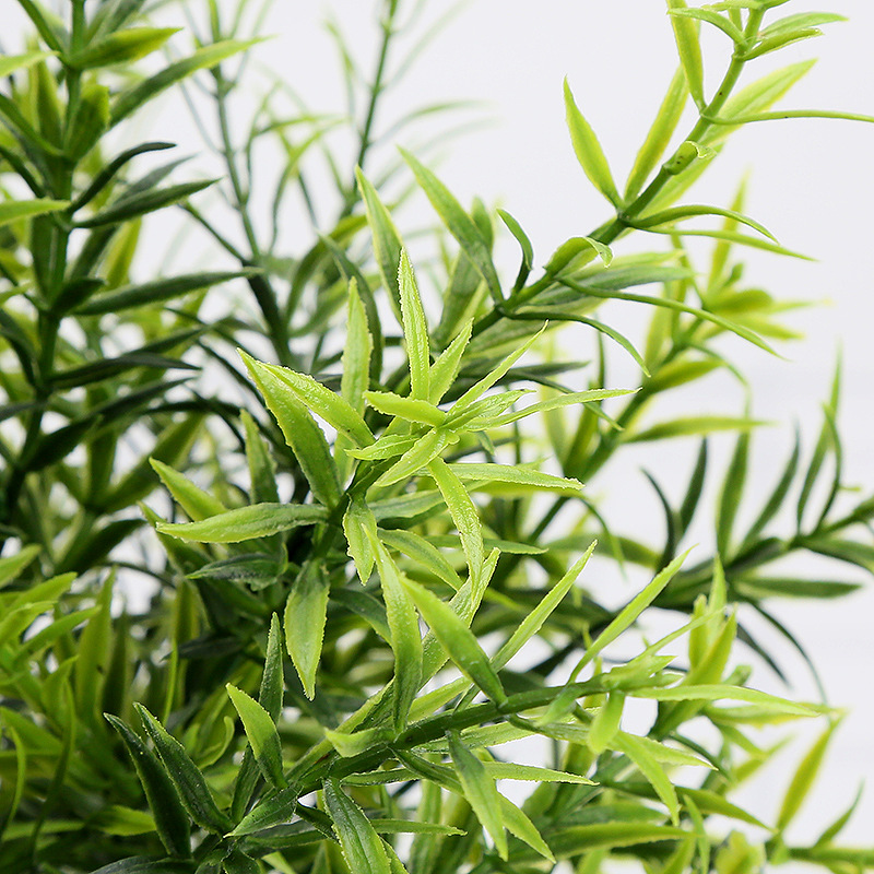 O1CN017Rg6mp1JlBgJhhe65_!!6991