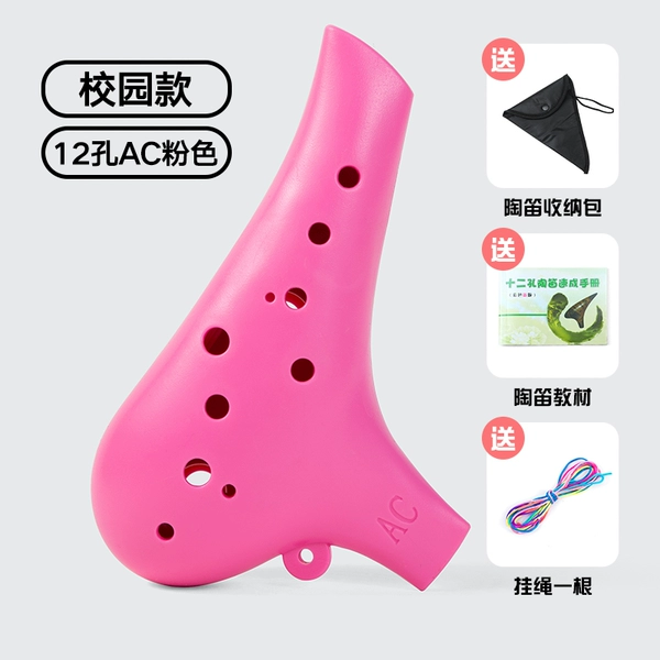 Fuchsia strap, teaching aids, storage bag