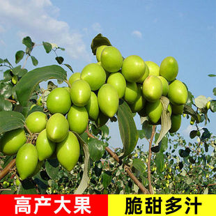 ��Դ�^���ء�̨�������������۽z��ţ�̗��������ͥԺ�޽ӗ�����