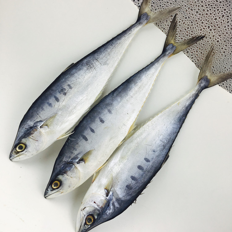 北海燕鲅鱼马胶鱼干马鲛鱼咸鱼干货北海特产海鲜水产食品买一斤