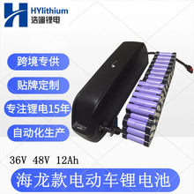 48V20Ah电动车电池36V15Ah海龙款电动自行车电池USB山地车锂电池