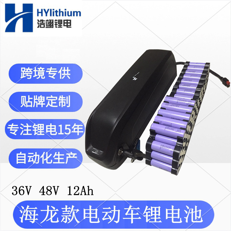 48V20Ah电动车电池36V15Ah海龙款电动自行车电池USB山地车锂电池