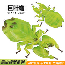 ��ͯ�ƽ̷���Ұ�����xģ�;��~?�~���x�������M����辰�b[��