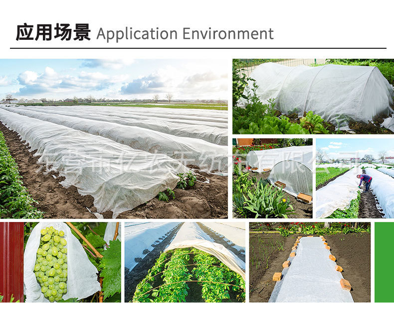 O1CN01qphpap1bWgWevmw3L_!!2924243473-0-cib.jpg?__r__=1725867273112