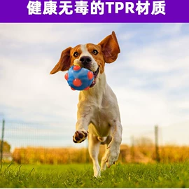 减压玩具;狗狗玩具;发光玩具