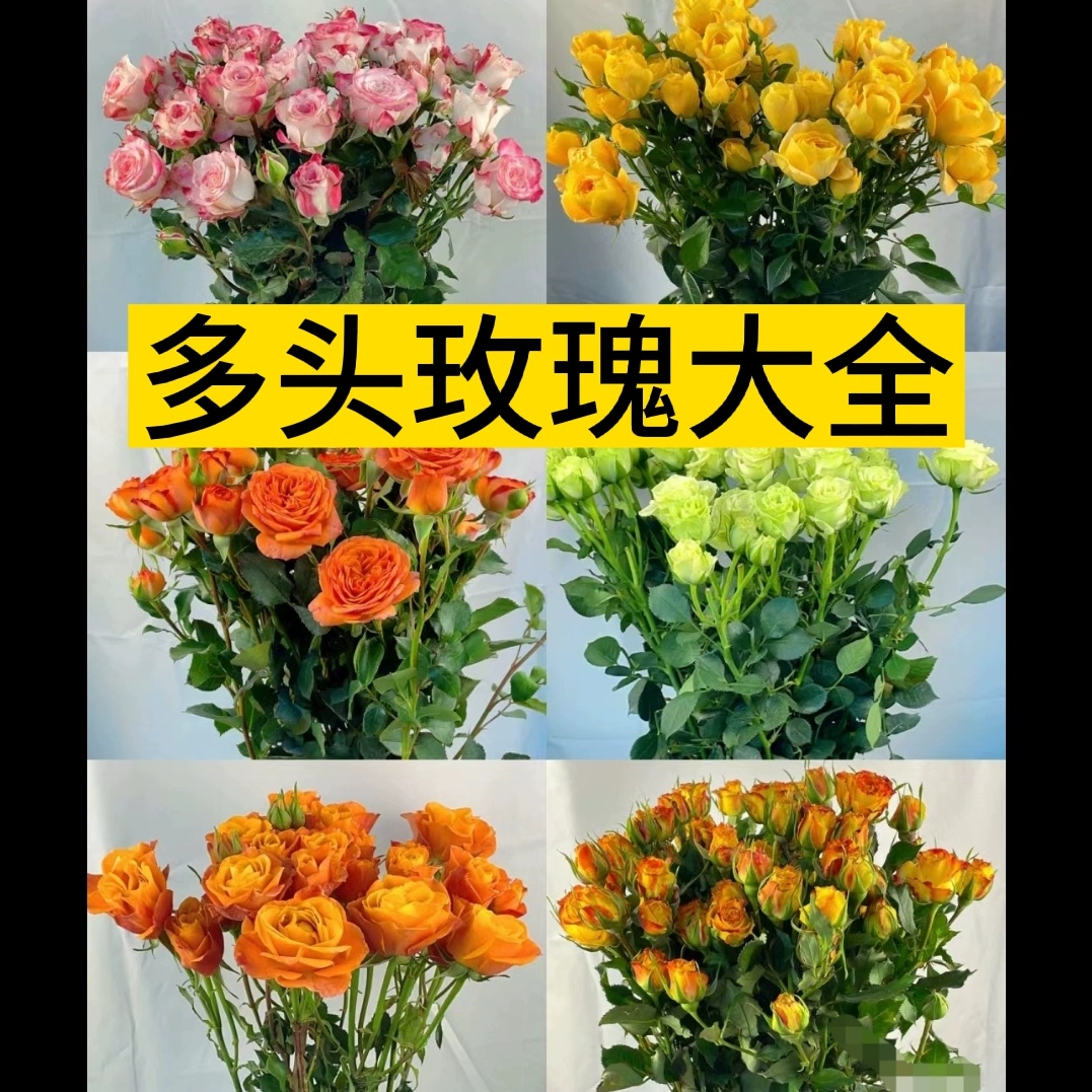 Многоголовые розы класса А в различных стилях. 10 высококачественных цветов, доставленных напрямую с базы в Юньнани.