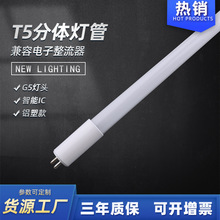 T5���ݟ���  T5������������ ��Q���y������  T5���w