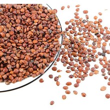 �F؛�F؛���ᗗ����ș���ᗗ����Ʒ��ĥ���ᗗ�ʷ��ݲ藗�� �ٰl