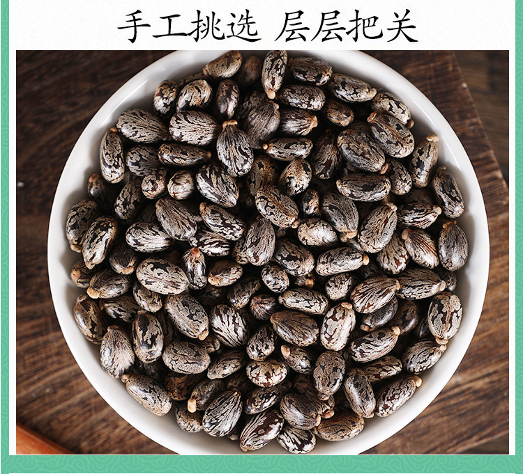 Wild Castor Seeds 500g Ricinus Communis Dried Bi Ma Zi Raw Herb for External Herbal Use quality and texture