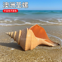 ��������}�ݰ����L������Ȼؐ�������ղؔ[�����̖�ǵ��к����