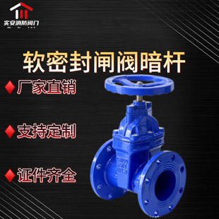 �S�ҹ���DN40-300���m�l�yܛ�ܷⰵ�U�����T�F�ք��y�T�_�P����