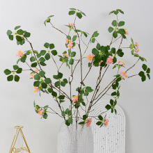 ����ʽ����ֲ���^��ɏ�~�ٗl�����U��廨�쾰��ľ�L���ٿ͏d�[��