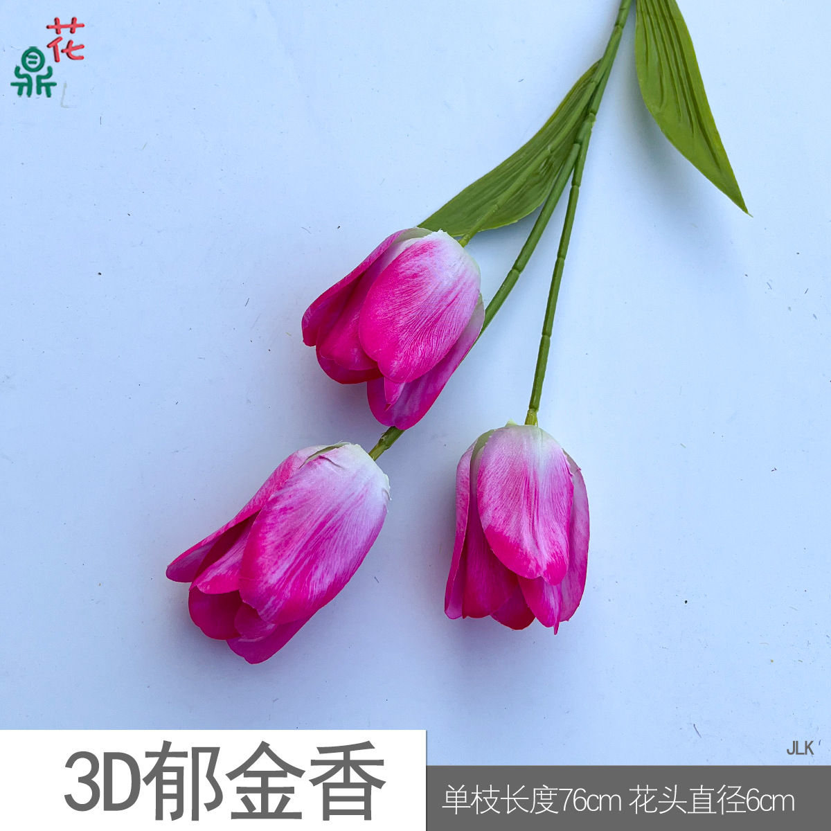 3D 튤립 JLK #6 로즈 레드