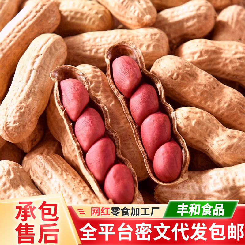 24年新花生 红皮花生山东花生带壳长果 红衣花生晒干四粒红衣花生|undefined