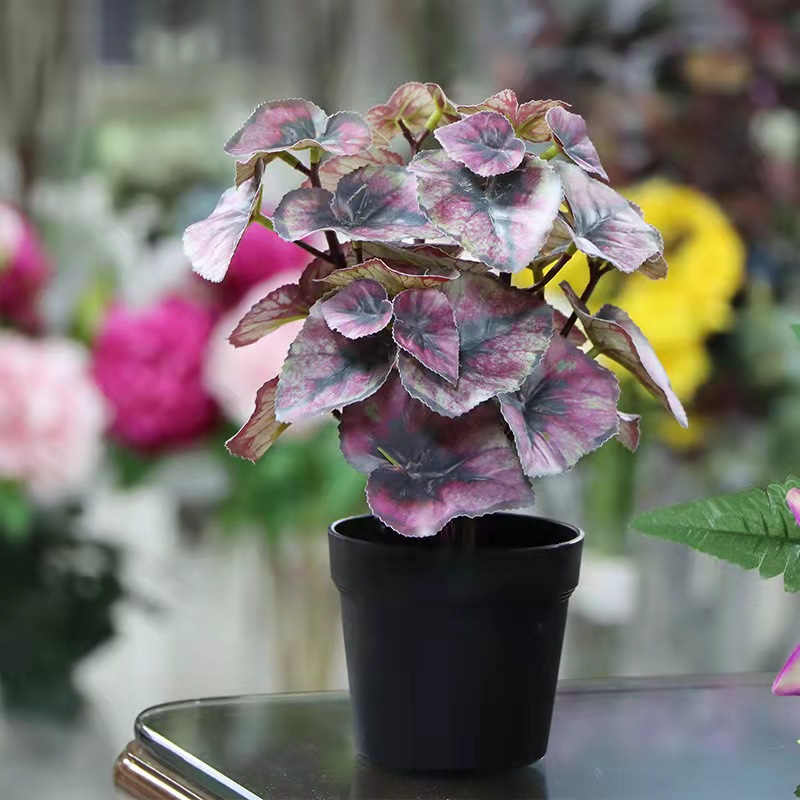 O1CN01bQQAFU1watr7YGZhE_!!2212