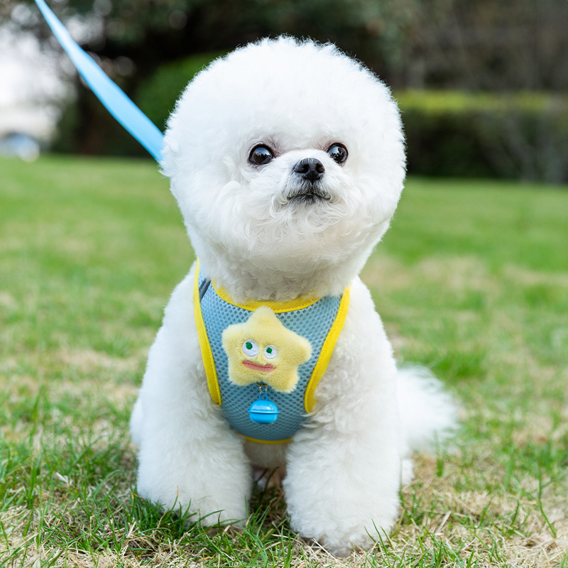 Cuatro estaciones para perros, accesorios tridimensionales divertidos y transpirables, ojos grandes, linda correa para mascotas, cuerda para pasear perros, cuerda para pasear gatos