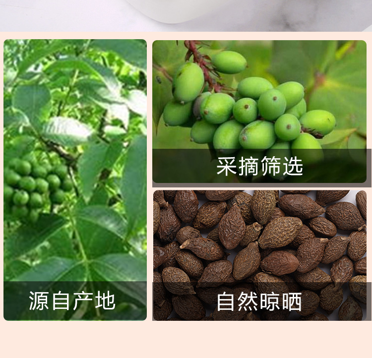 Pang Da Hai (Sterculia lychnophora) — Dried Round Fruit for Herbal Tea, 140g Jar preparation