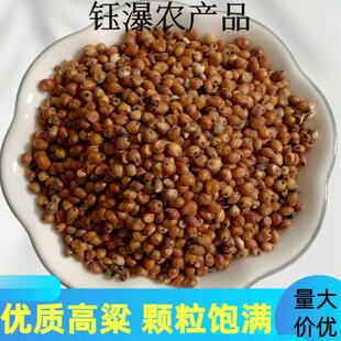 ���l �t������ƤδÓƤ����ᄾ�ᄴ�ԭ�ϸ�����һ�����lᄾƸ���